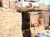 Social Services and Housing Program